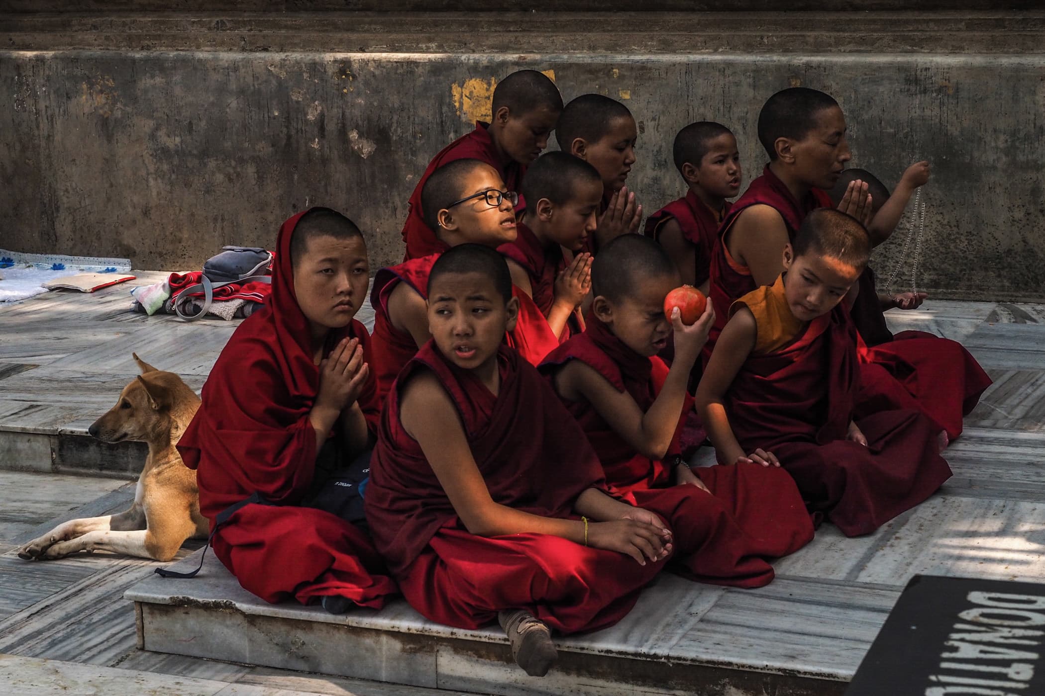Young monks find it hard to meditate