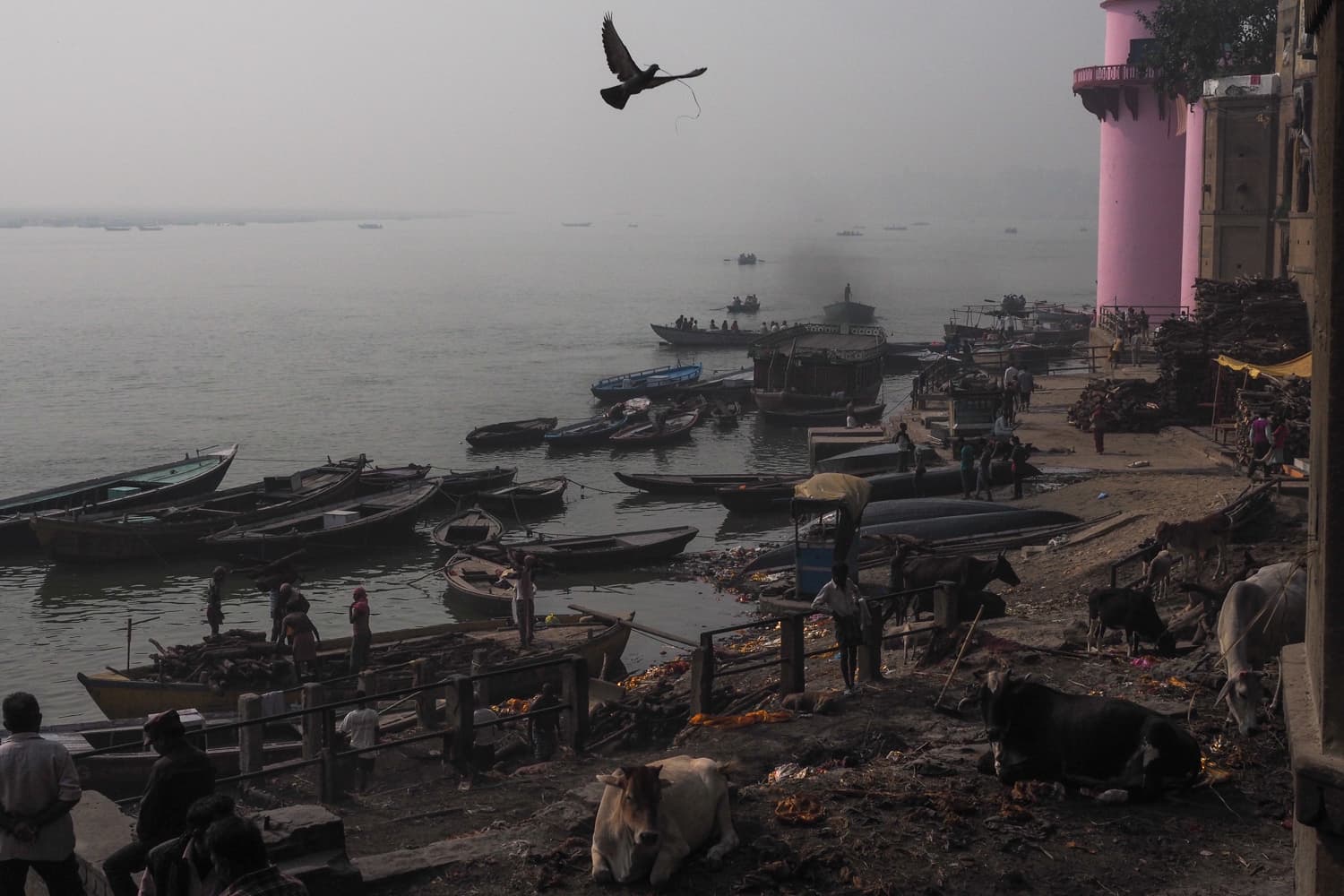 sacred Ganga 13