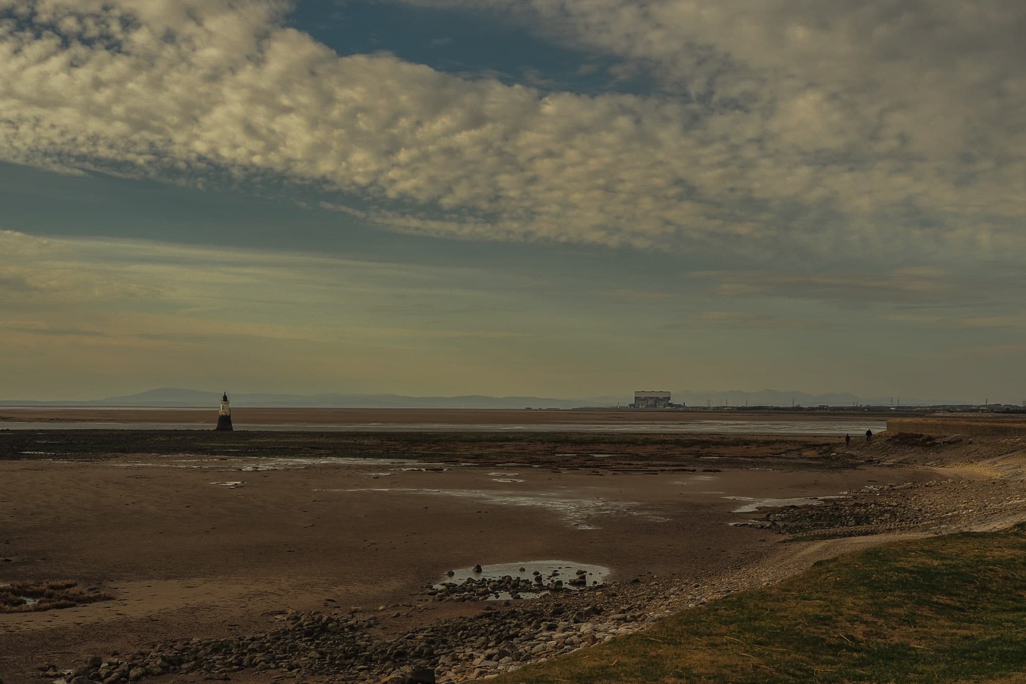 salt Marshes 2