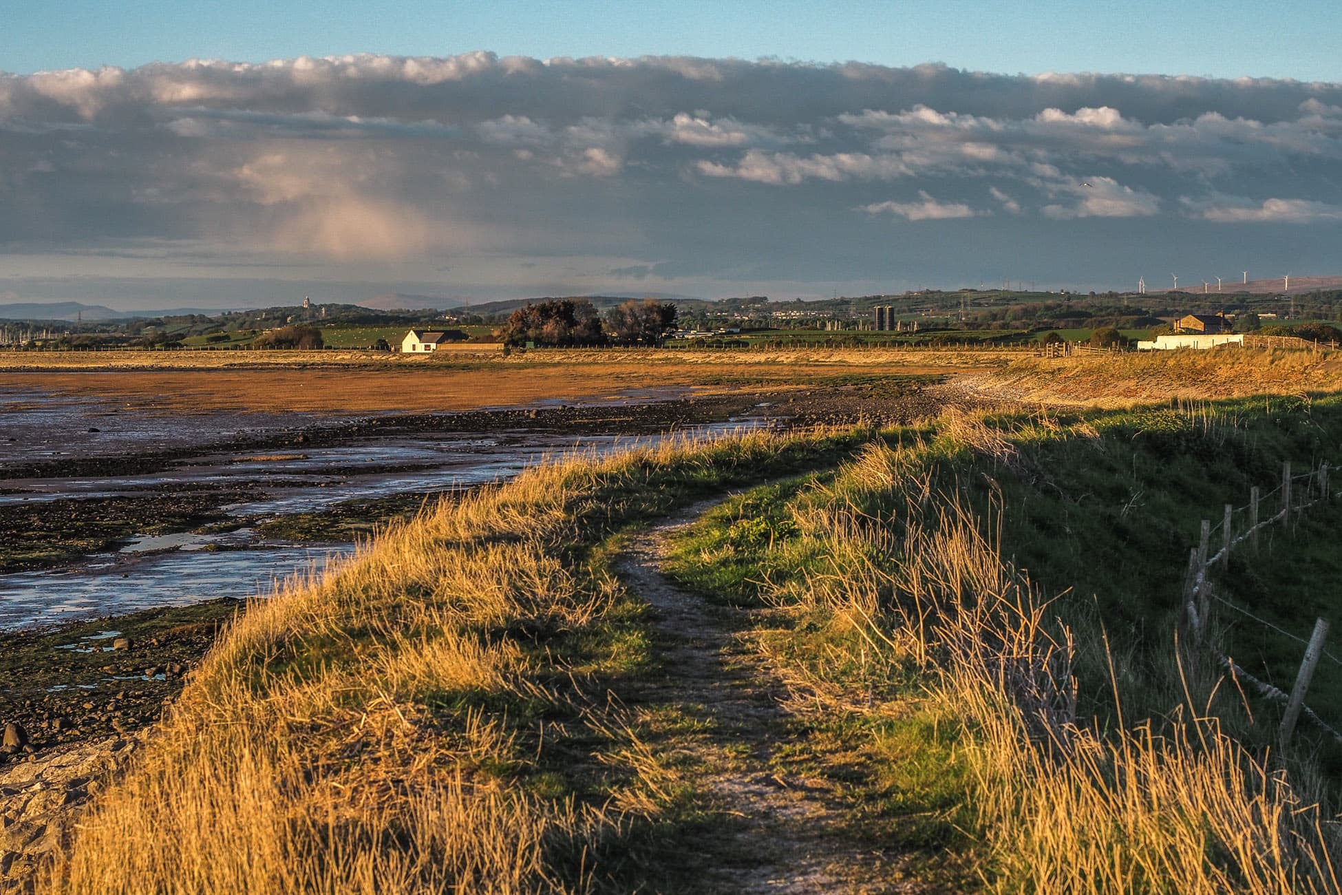 salt Marshes 4