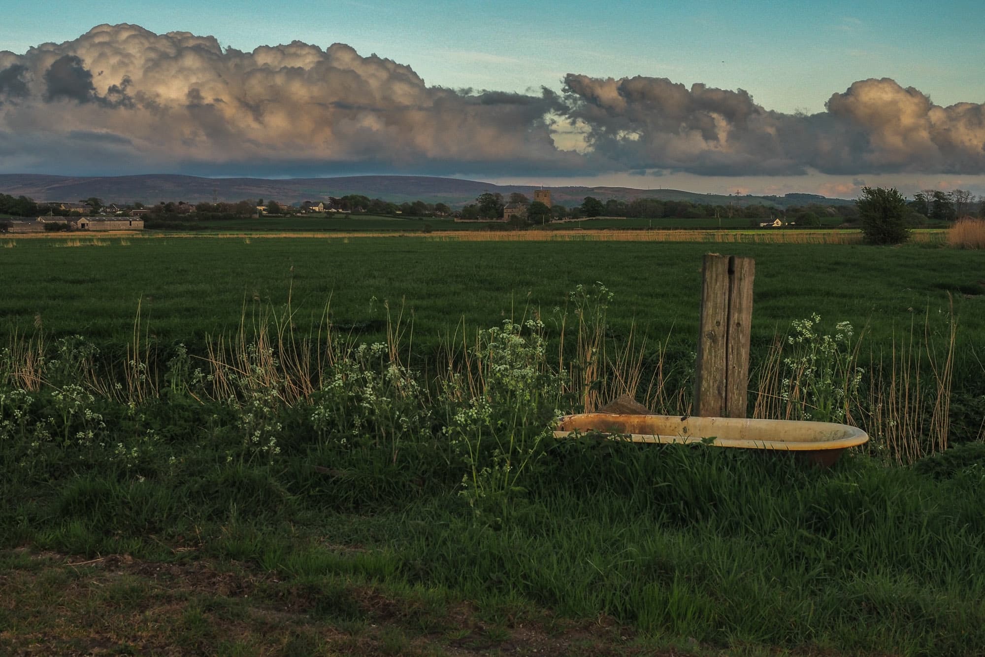 salt Marshes 5